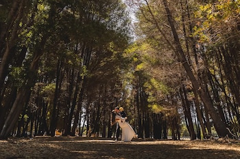 Las historias de amor transcurren