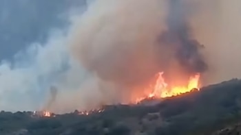 Llamas de fuego y una densa columna de humo se elevan sobre una colina con vegetación baja