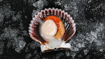 En el Perú, las conchas