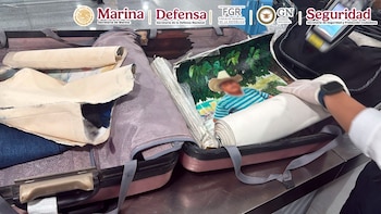 Detienen a una persona extranjera en el AICM con cocaína oculta entre lienzos