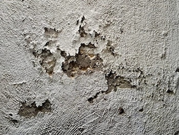 Raspar con cepillo o espátula