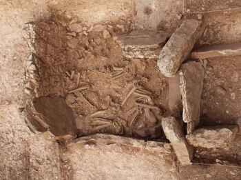 28/07/2020 Enterramiento megalítico
POLITICA INVESTIGACIÓN Y