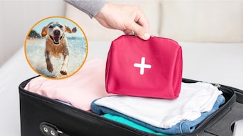 Alfredo Molina, veterinario: “Este es