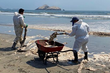 Trabajadores de Repsol realizando limpieza