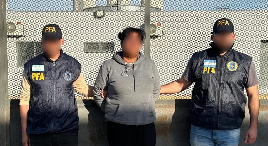 El operativo estuvo a cargo de la PFA