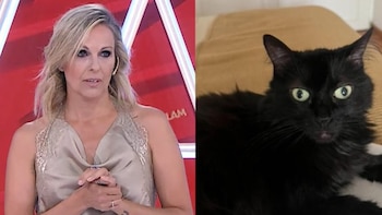 La angustia de Denise Dumas al aire por la desaparición de su gata: “Se llama Mina y nunca salió de casa”