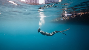 Por qué el buceo en