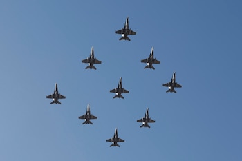 Vista del desfile de la