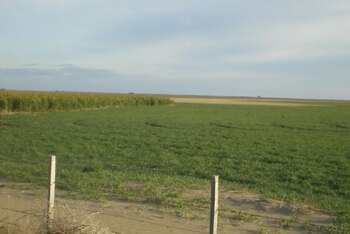 Los mapas de suelos permiten