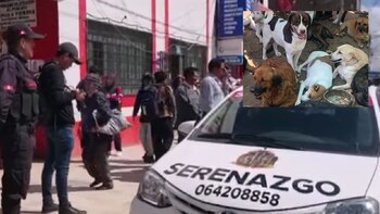 Niño muere por ataque de perros