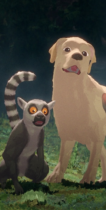 Flow, Oscar, Animales, Mascotas