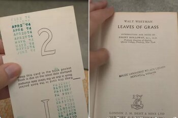 El libro de poesía “Leaves