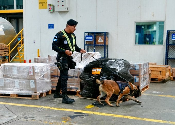 El Departamento de Estado afirmó que los perros K9 en Guatemala detectan envíos ilícitos en maletas, cajas y otras cargas antes del despegue de los aviones. (Embajada de EE.UU. en Guatemala)