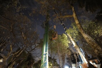 Imagen ilustrativa de la alcaldía