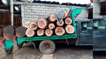 Segob aseguró cuatro aserraderos clandestinos