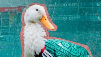 ¿Puede el pato Merlín entrar al México vs Chequia del Mundial 2026? Esto dice el reglamento de FIFA