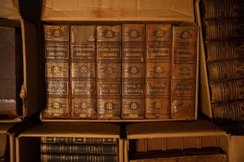 Ejemplares de la Enciclopedia Británica, incluida en el acervo de la biblioteca del Ecoparque de Buenos Aires (foto: cortesía de María José Micale)