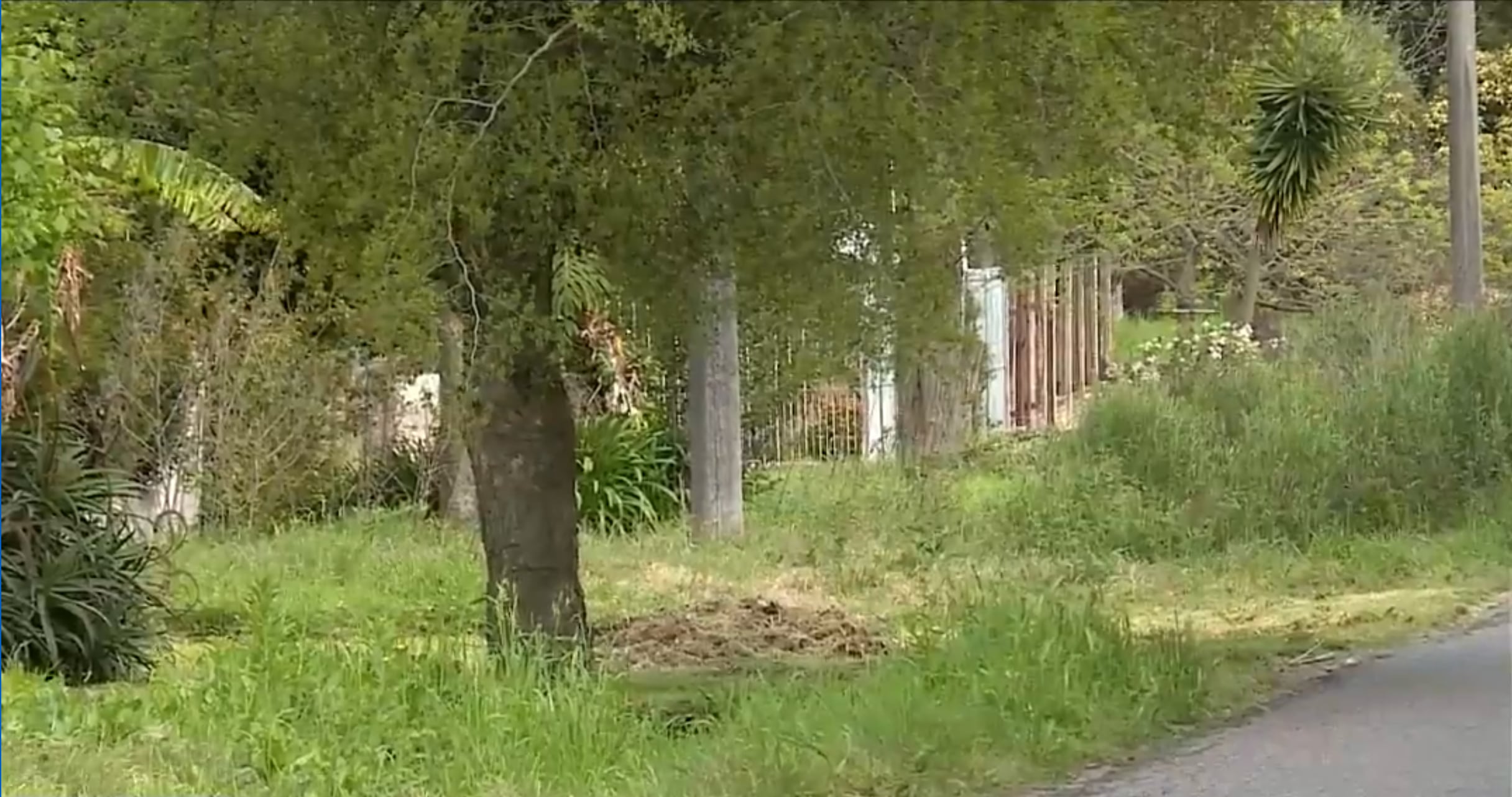 La escena de un crimen en Montevideo (Captura Telemundo/Canal 12)