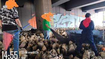 Denuncian macabro hallazgo de una