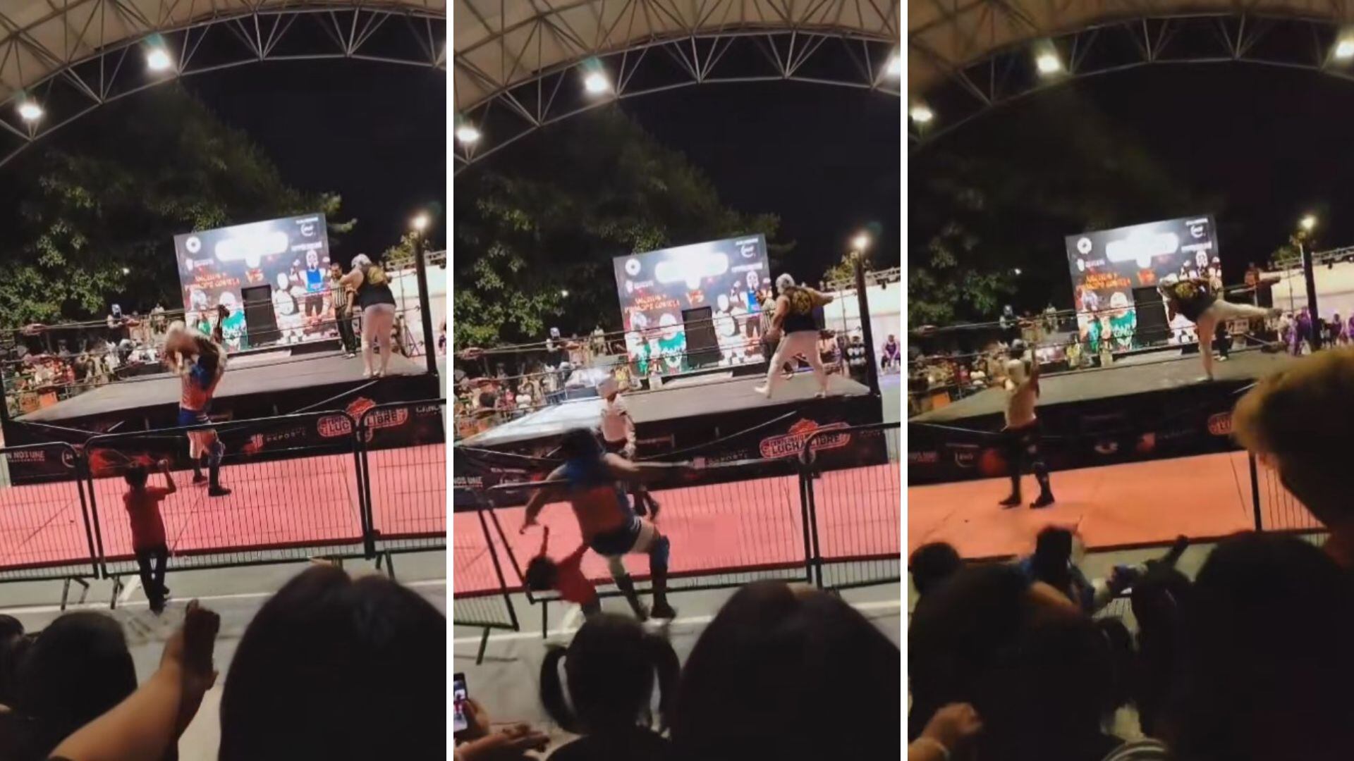 El momento que Príncipe Cometa cae accidentalmente sobre la valla y posteriormente se lleva al niño. (TikTok / @kikemayen97)