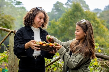 Asistentes de todas las edades disfrutaron en un clima agradable la dulce merienda saludable que caracteriza a El Salvador (Foto cortesía ISTU)