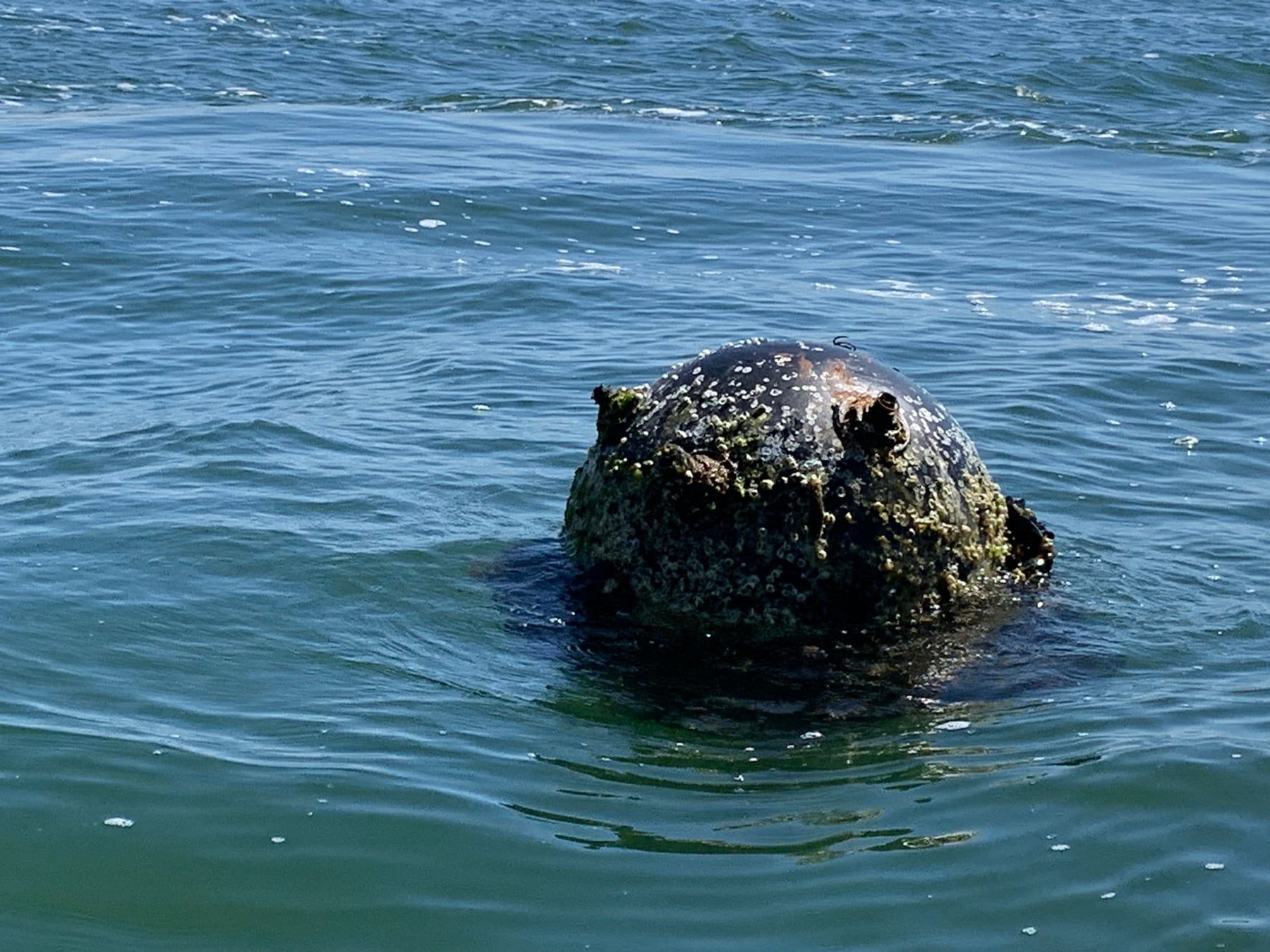 El volumen total de minas en poder de Irán no se ha divulgado oficialmente, pero estimaciones previas ubican sus reservas entre 2.000 y 6.000 unidades, fabricadas principalmente en China y Rusia (EFE)