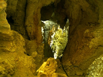 Cuevas de Waitomo (Nueva Zelanda)