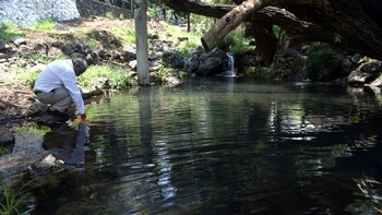 De acuerdo con Hernández Cerón,