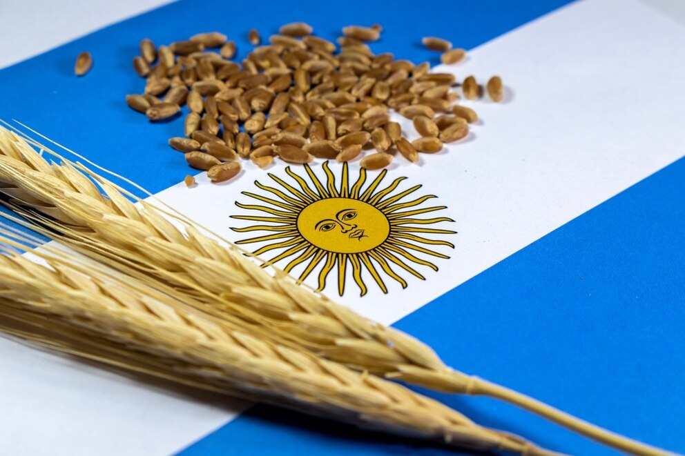 Argentina Brasil