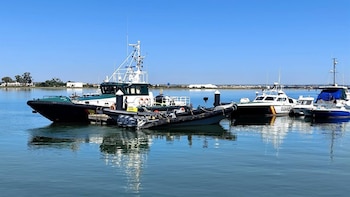 Ingresa en prisión un piloto de narcolancha herido durante una operación en el golfo de Cádiz