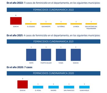 Informe de feminicidios en Cundinamarca
