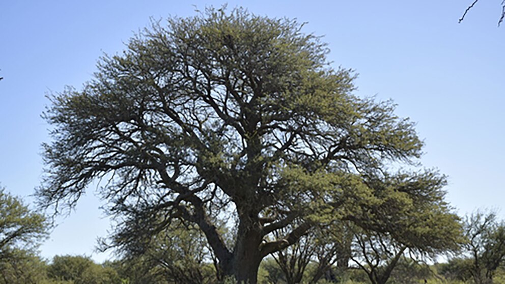biodiversidad