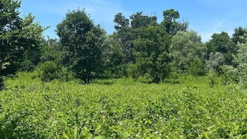Territorio de la República Libre