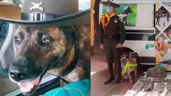 Falleció en un operativo una