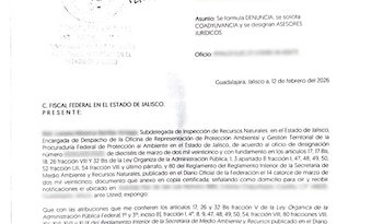 La acción legal busca identificar