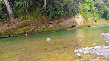 Adulta mayor se lanzó al