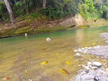 Las autoridades pidieron a las