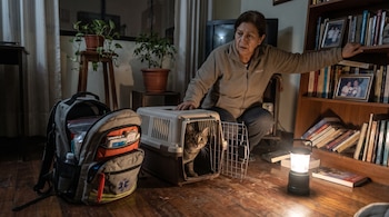 Mujer agachada frente a un transportín con gato atigrado. Una mochila, una linterna encendida y una estantería con libros