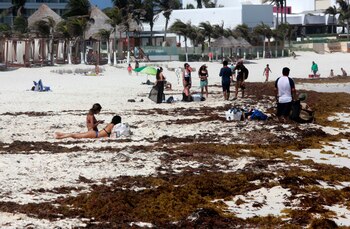 La tendencia al alza se