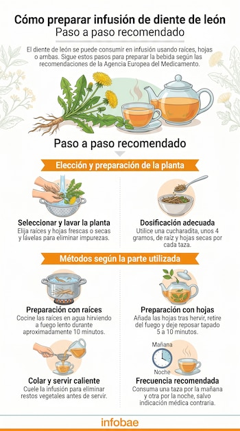 Infografía detallada sobre cómo preparar infusión de diente de león, mostrando pasos para seleccionar, lavar, dosificar y cocinar raíces o infundir hojas, hasta servirla.