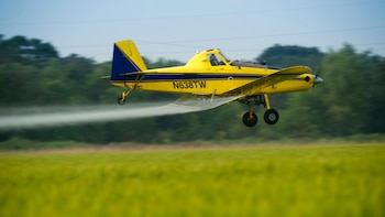 La Corte bonaerense suspendió ordenanzas