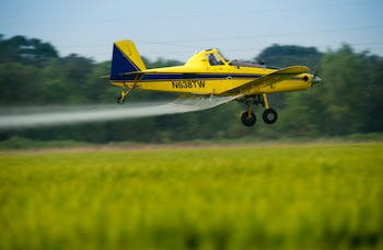 La Corte bonaerense suspendió de