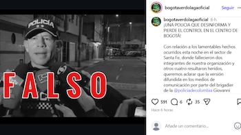 Barra brava de Atlético Nacional dice que declaraciones de la Policía de Bogotá sobre muerte de dos hinchas en medio de una riña en Bogotá en falsa - crédito @bogotaverdolagaoficial/Instagram