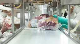 Carne premium al mundo: Argentina cumplió el 100% de la Cuota Hilton y exportó por más de USD 400 millones