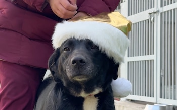 La nueva edición del programa