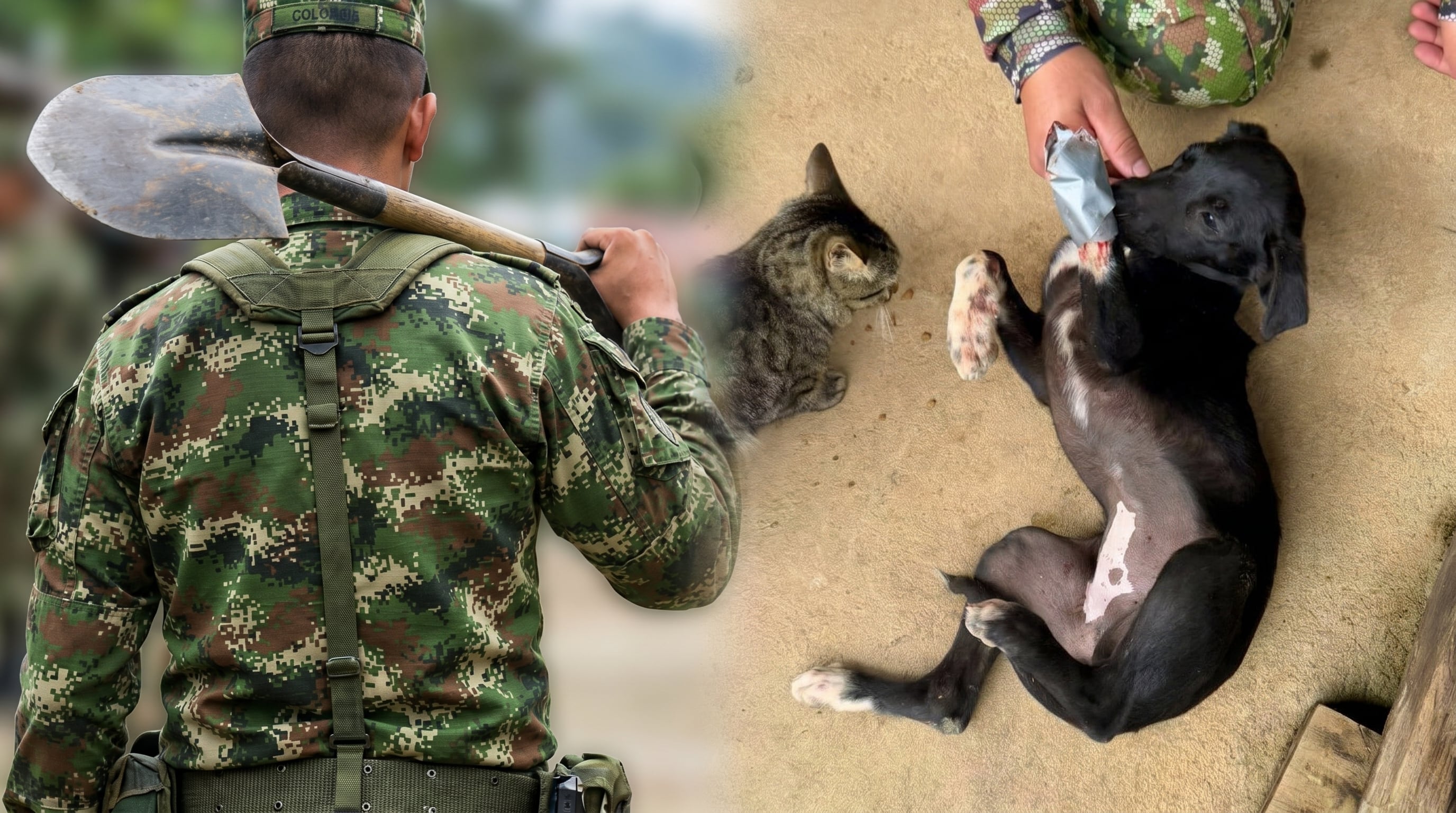 El Ejército Nacional abrió investigaciones penales y disciplinarias contra el soldado presuntamente responsable del maltrato en la base militar Filo Banderas, en Hacarí, Norte de Santander- crédito Ejército de COlombia/VisualesIA