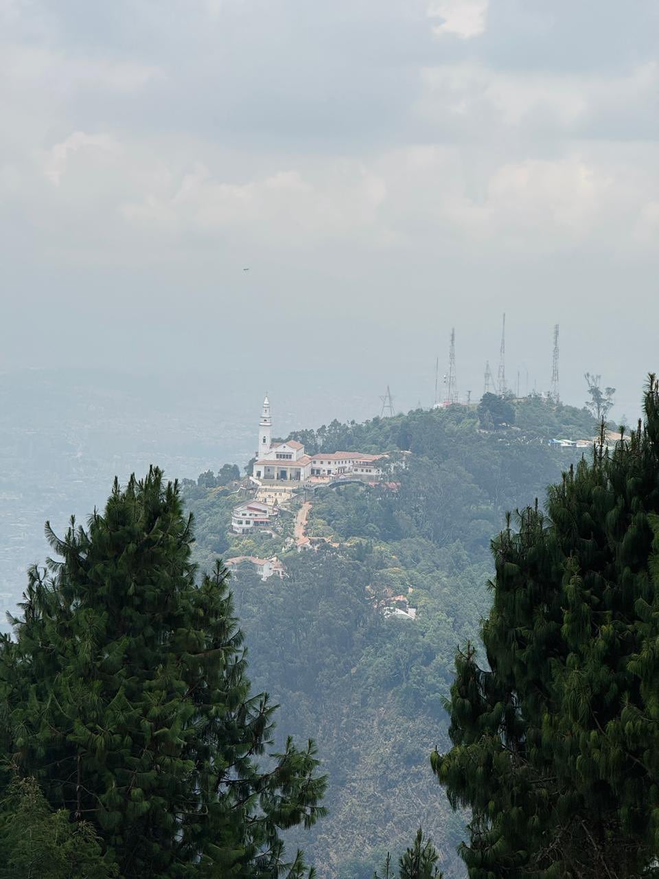 La CAR advierte que la explotación de los Cerros Orientales está vetada para proteger la fauna y flora de Bogotá y evitar daños irreversibles al medio ambiente - crédito @Alfred_Balle/X