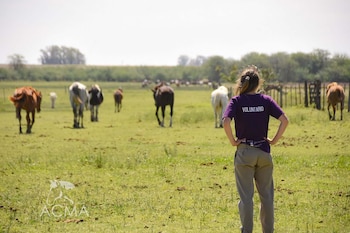 El 95 por ciento del