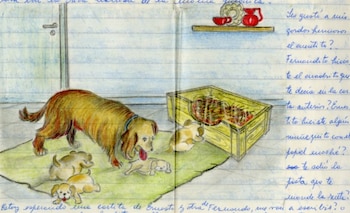 Escribime lo que sepas escribir