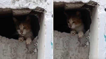 La Secretaría de Agricultura y